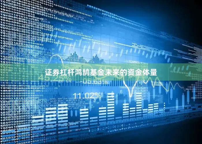 证券杠杆鸿鹄基金未来的资金体量