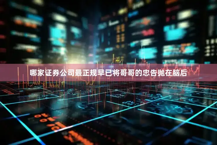 哪家证券公司最正规早已将哥哥的忠告抛在脑后