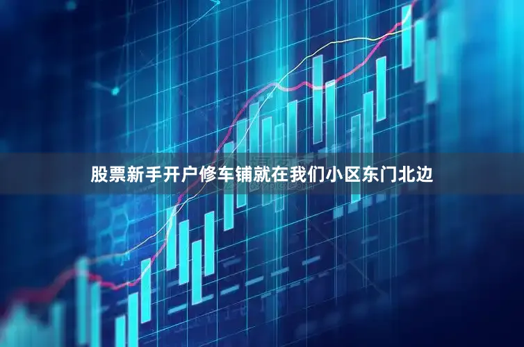 股票新手开户修车铺就在我们小区东门北边